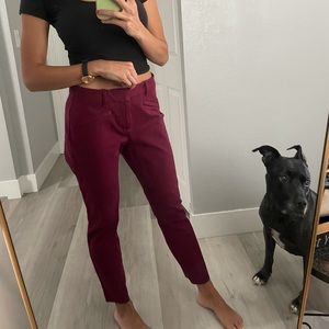 Burgundy business casual pants
